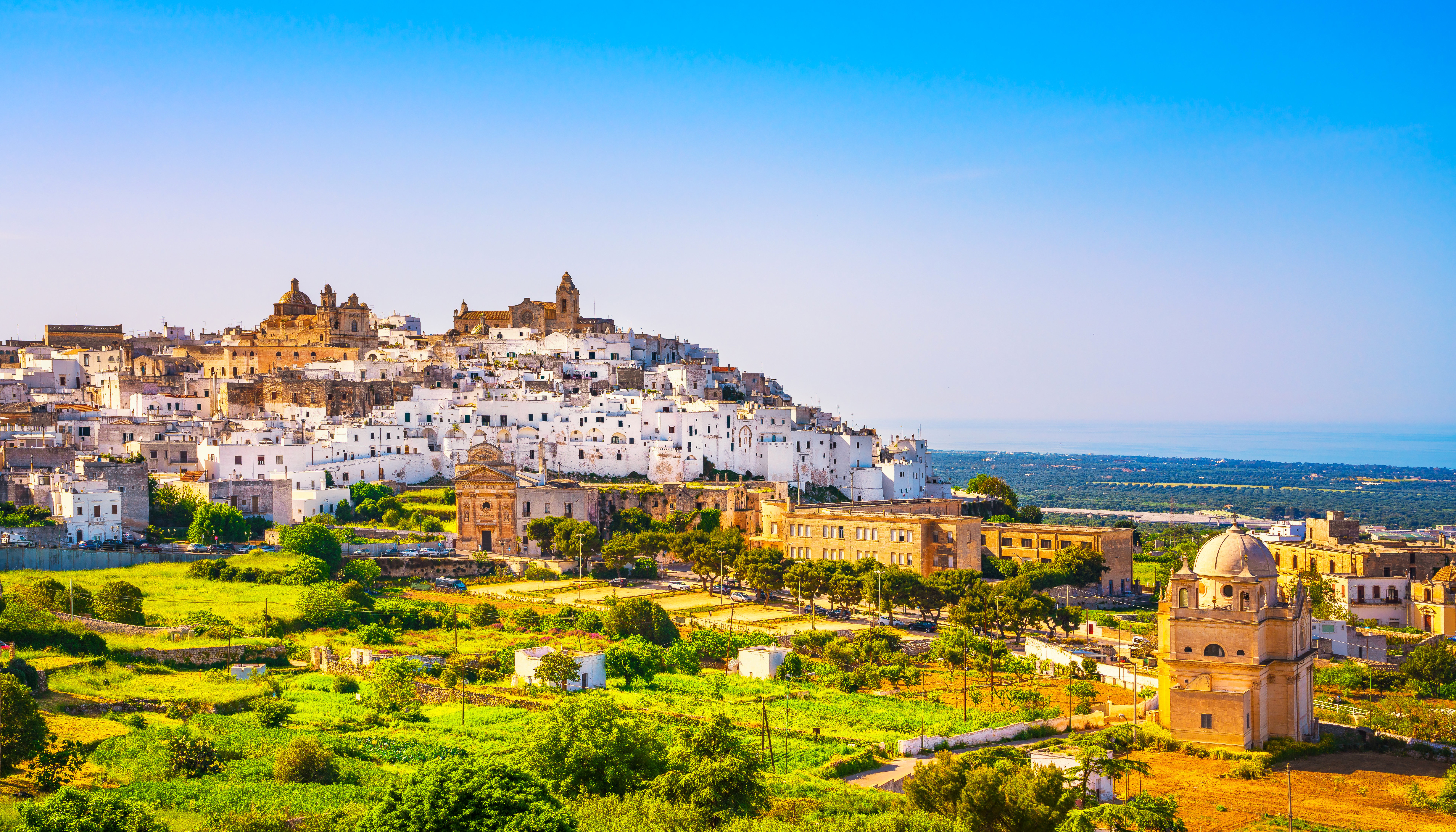 shutterstock_1131247262