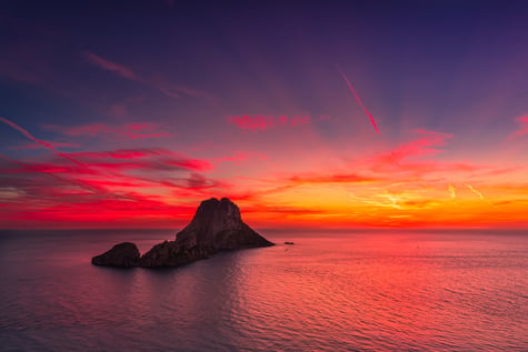 shutterstock_1192826032