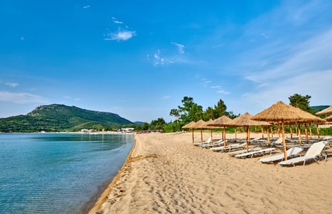 shutterstock_1311797915