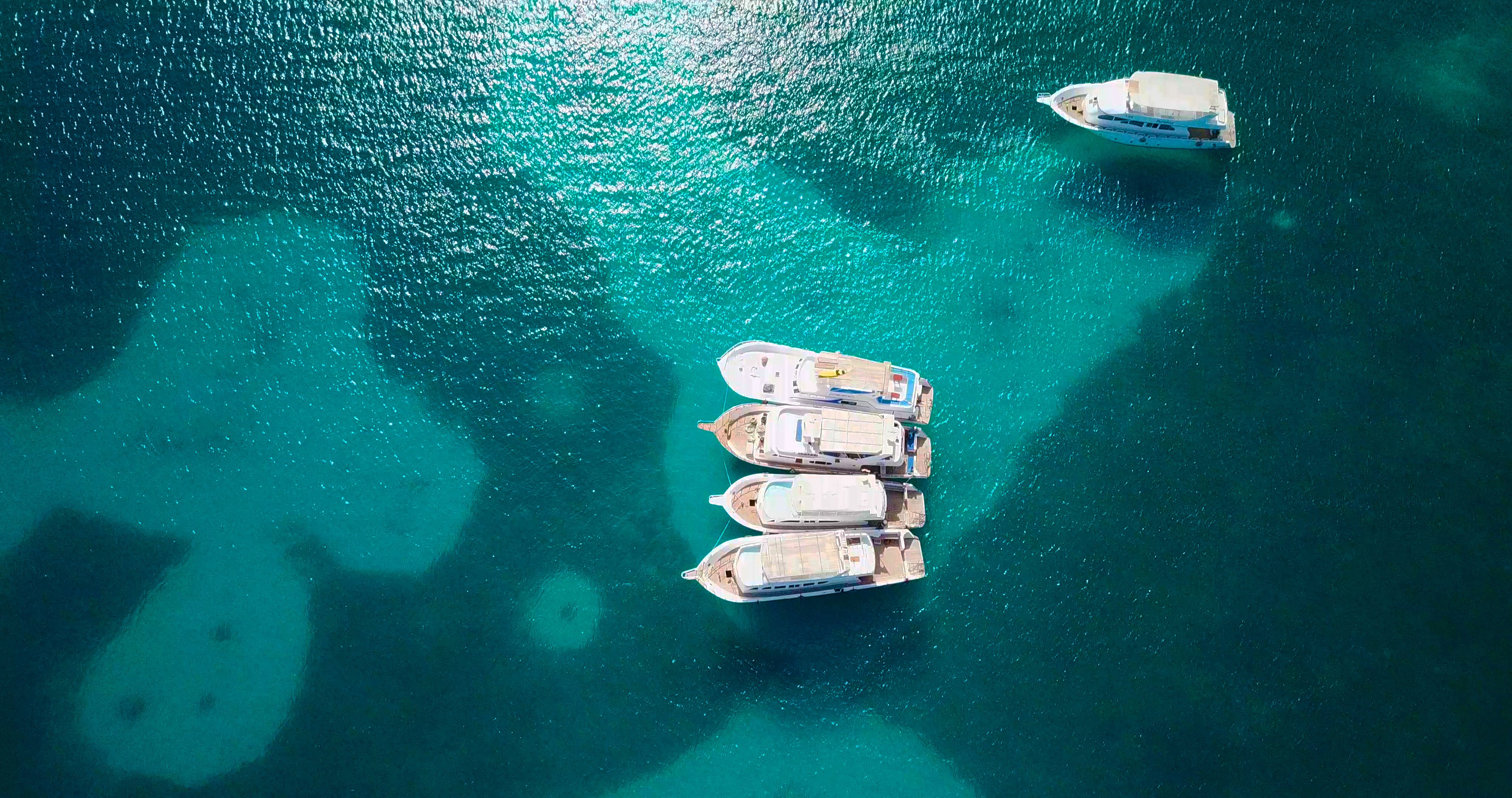 shutterstock_1466575016