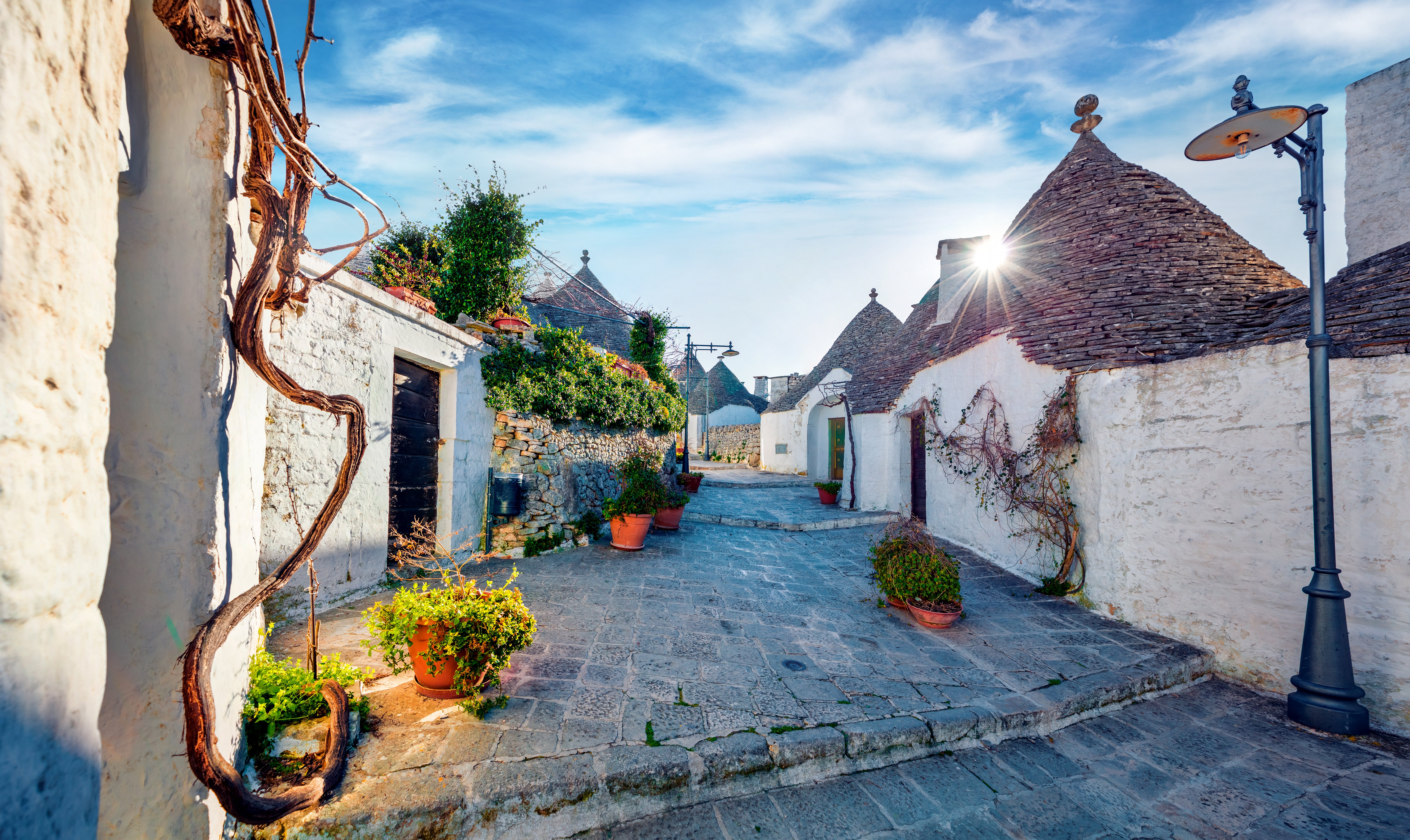 shutterstock_1635032215