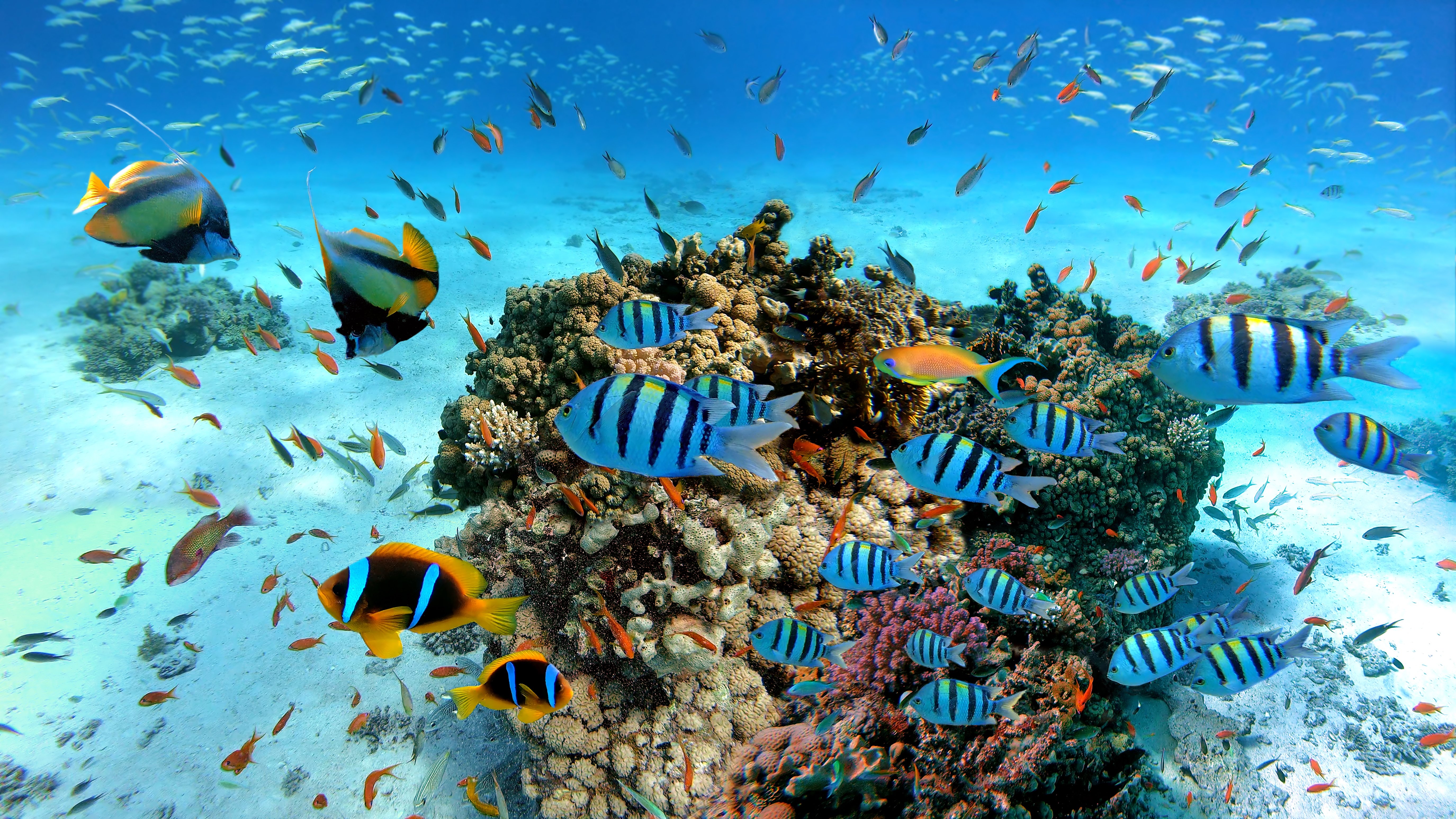 shutterstock_1640844184