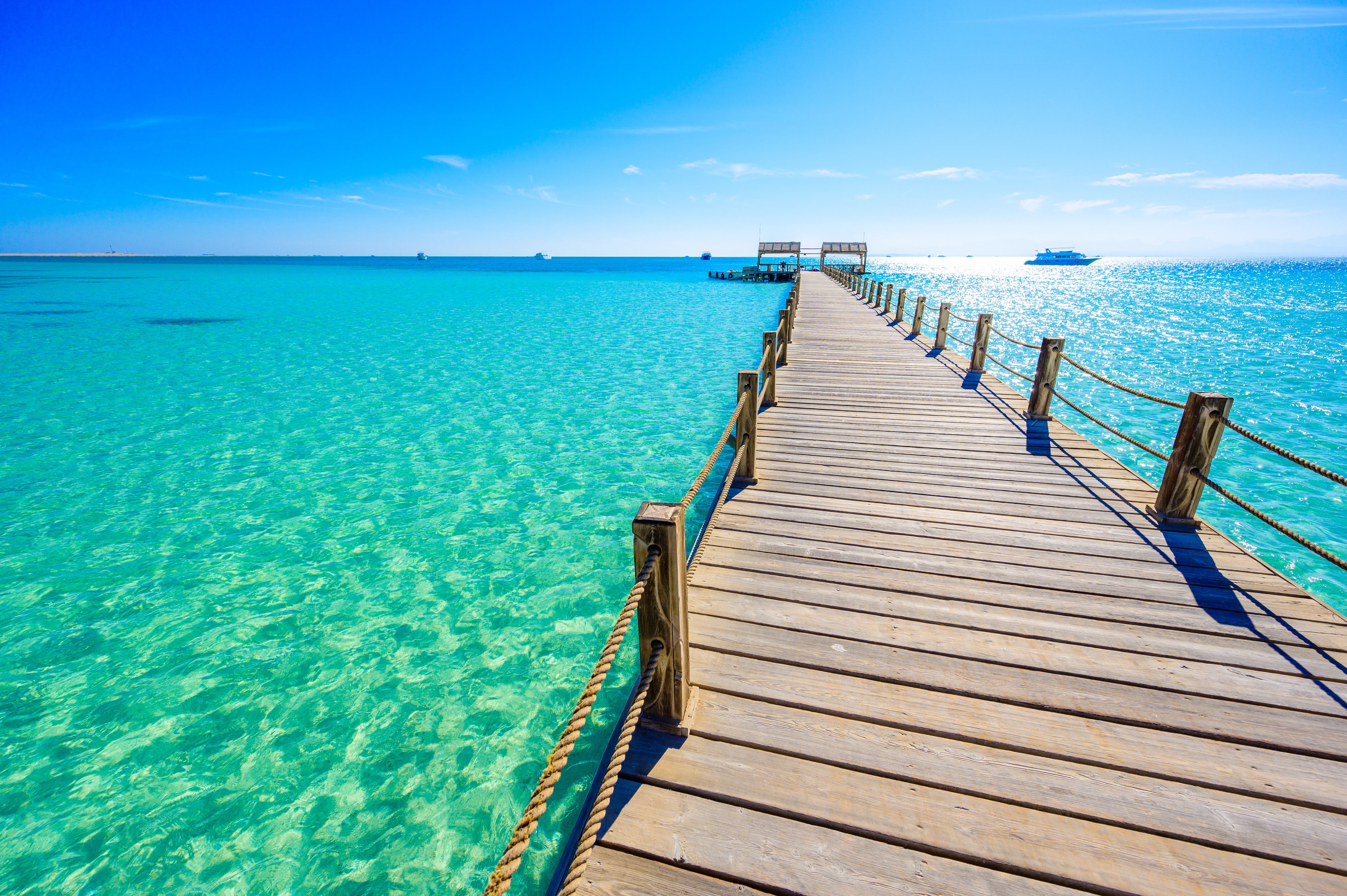 shutterstock_1853466997 (1)