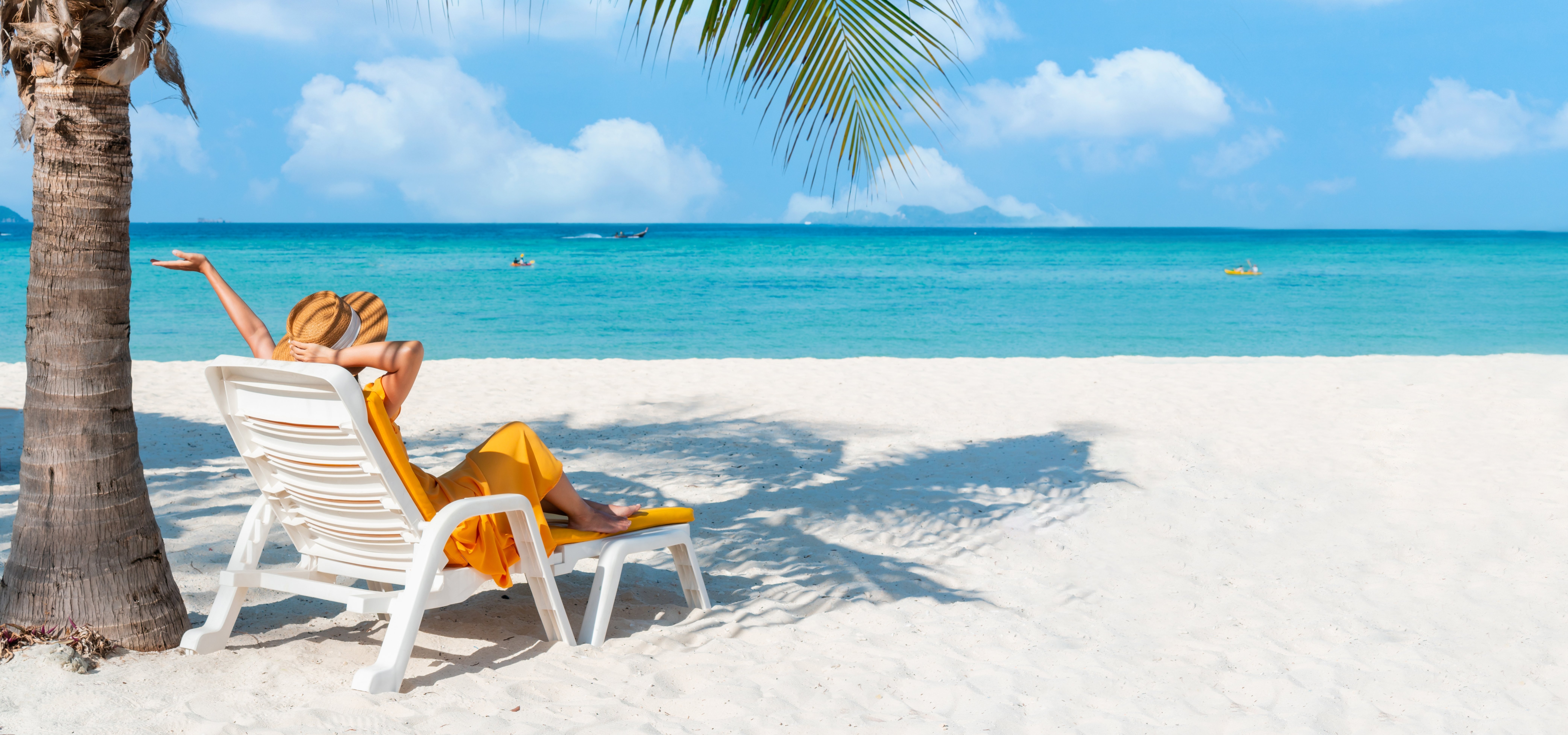 shutterstock_2290565941