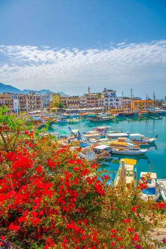 shutterstock_2363487889 (1)