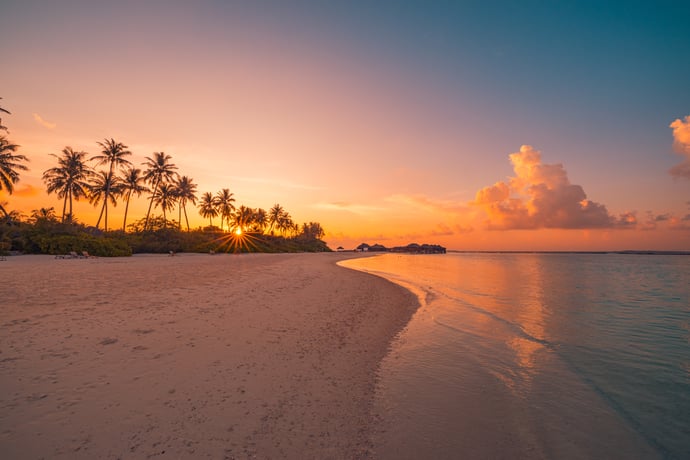 shutterstock_2424500407-2