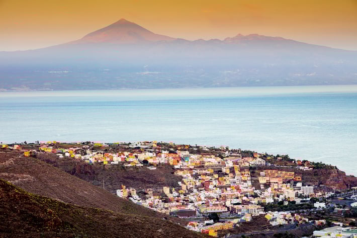 shutterstock_2428302677