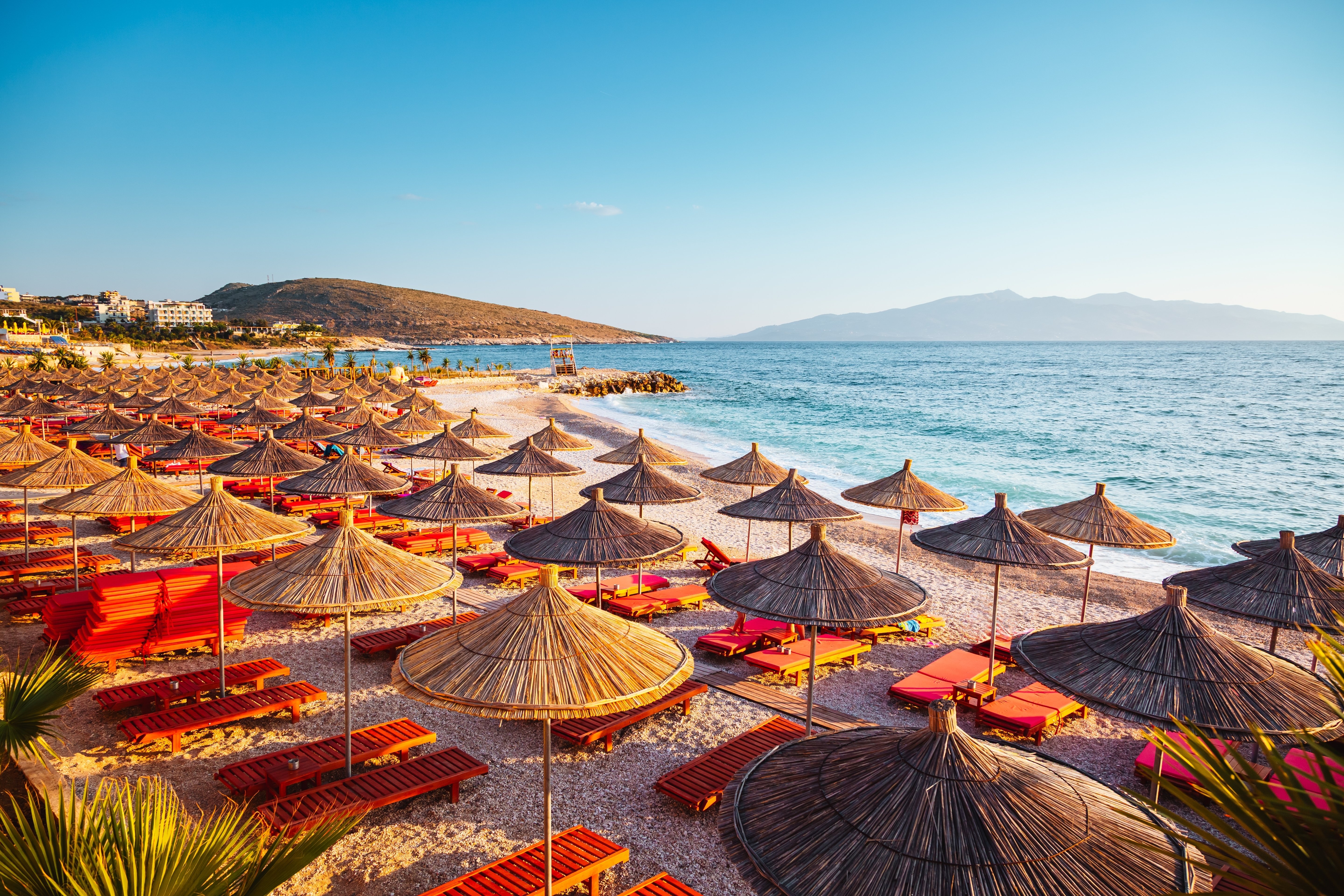 shutterstock_2626973253