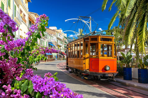 shutterstock_2697177631