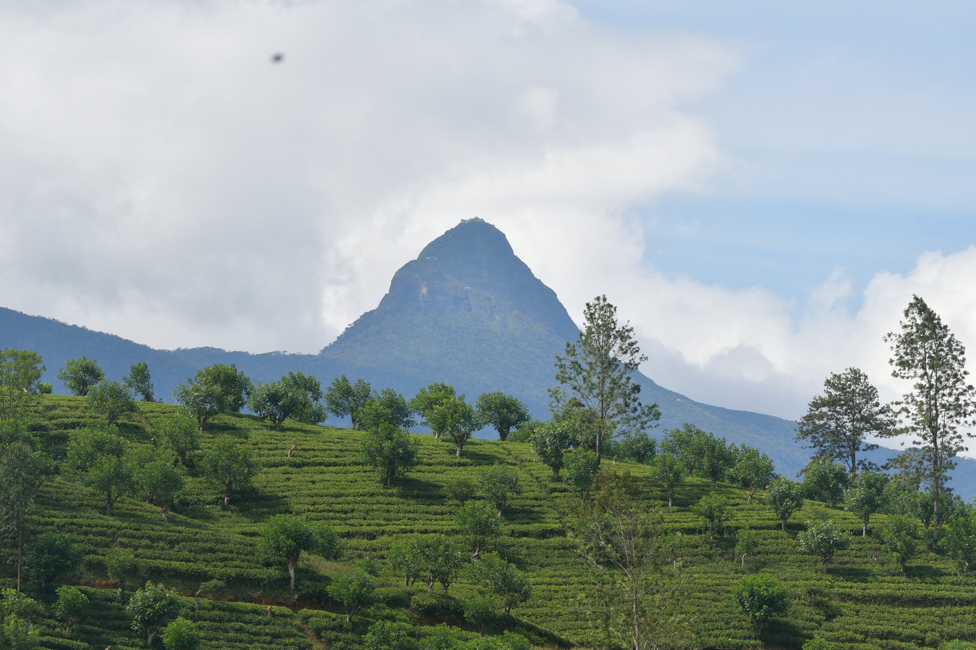 Srí Lanka látnivalók - hegy
